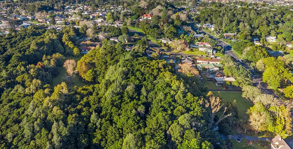Manurewa